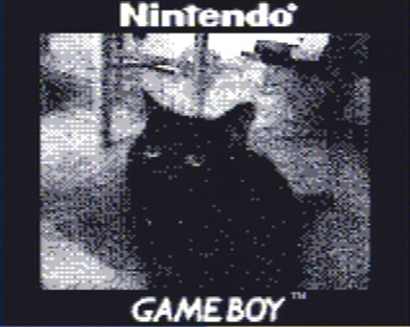 Game Boy Camera