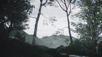 Scenic Forest Valley