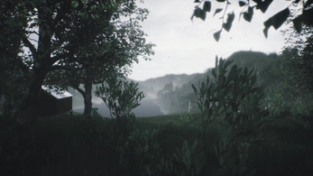 Scenic Forest Valley