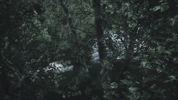 Scenic Forest Valley