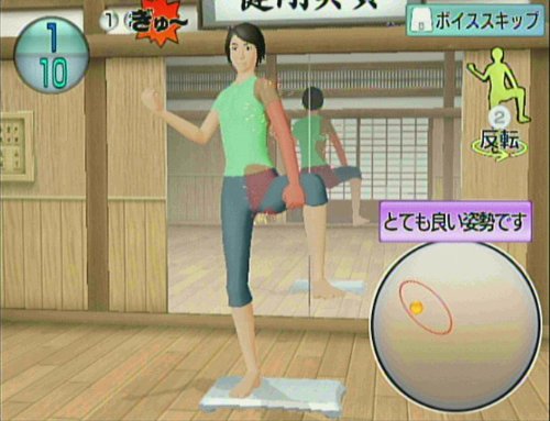 Isometric &amp; Karate Exercise: Wii de Kotsuban Fitness