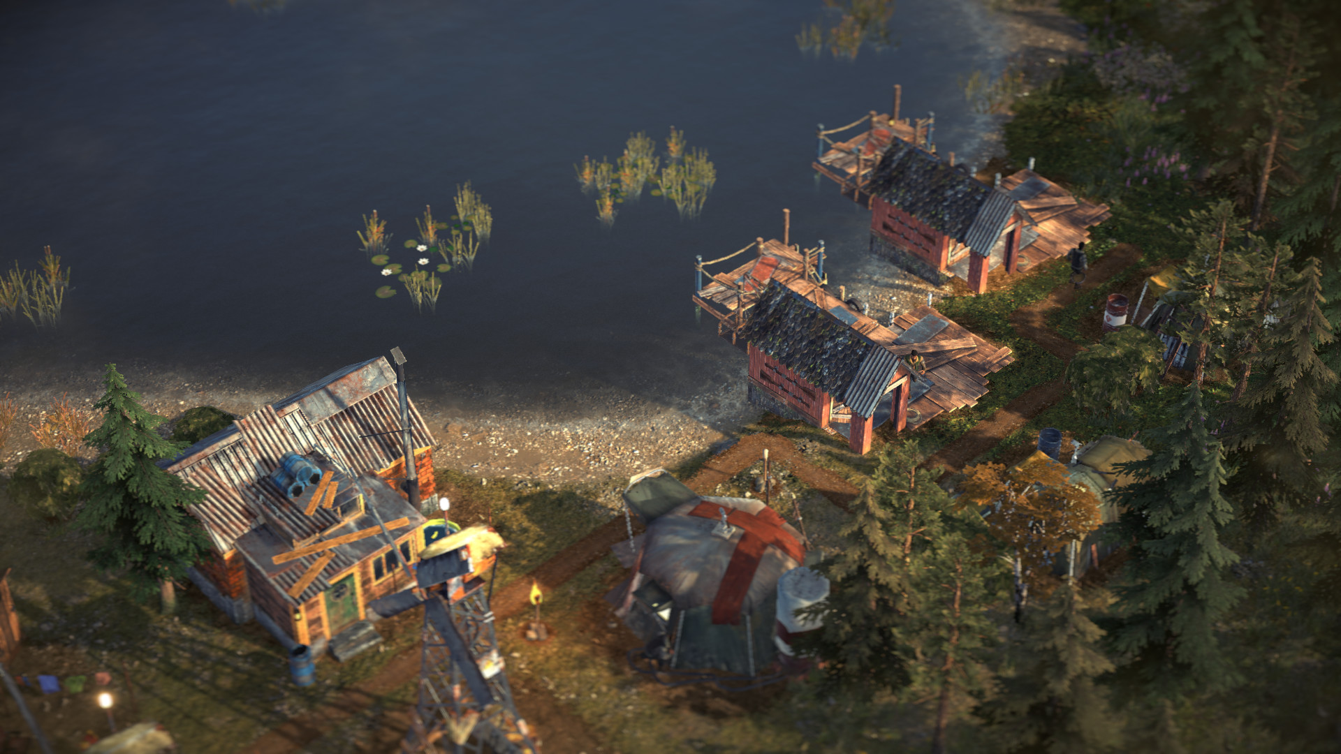 Surviving the Aftermath