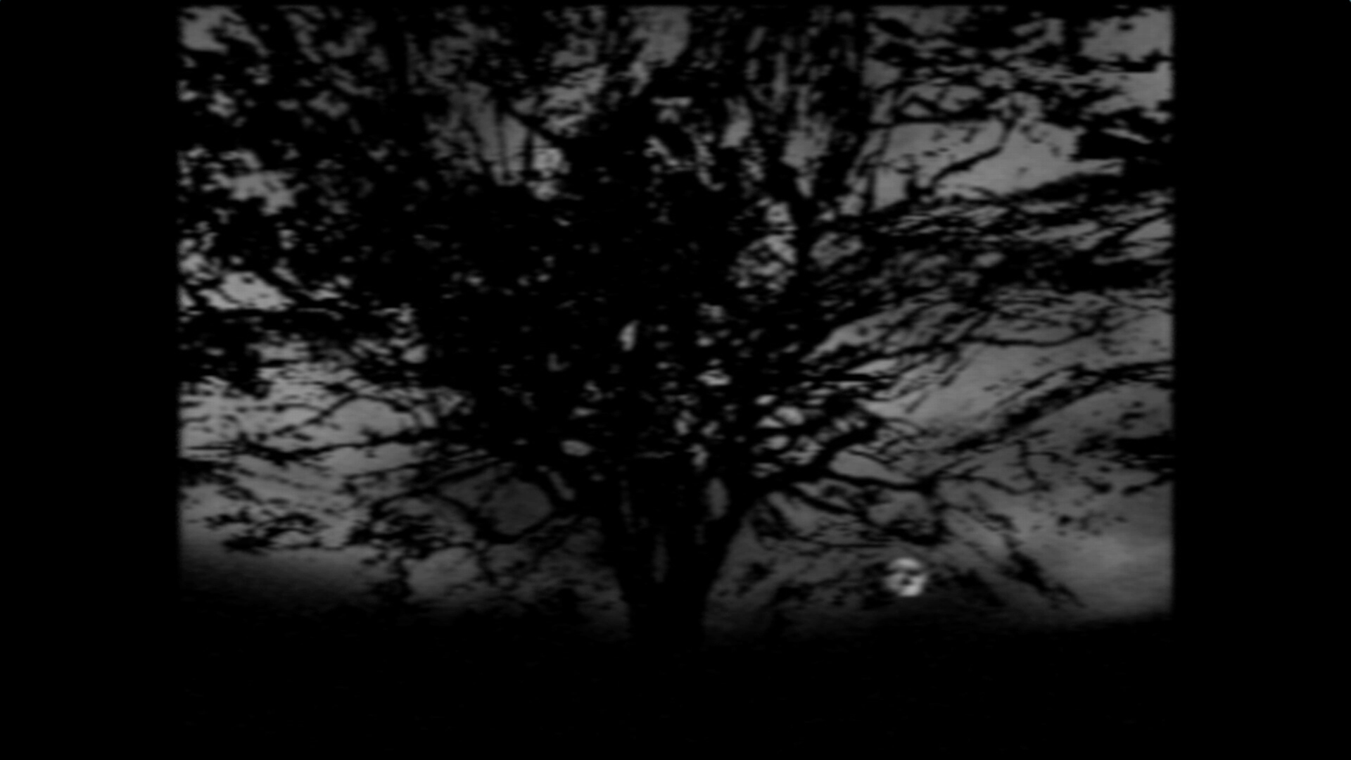The Night Journey