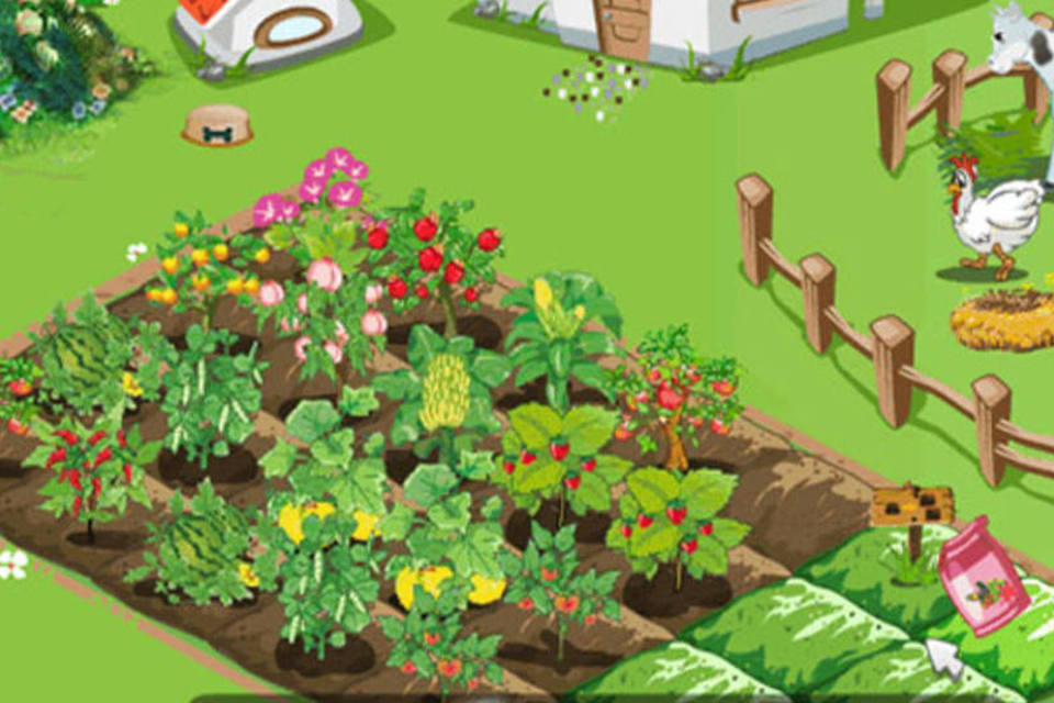 Happy Harvest