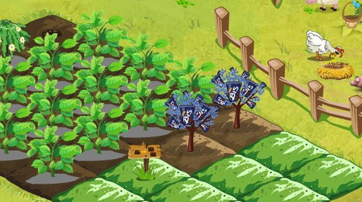 Happy Harvest