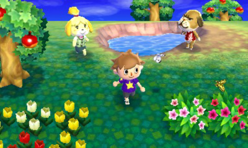 Animal Crossing: New Leaf – Premium Edition