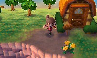 Animal Crossing: New Leaf – Premium Edition