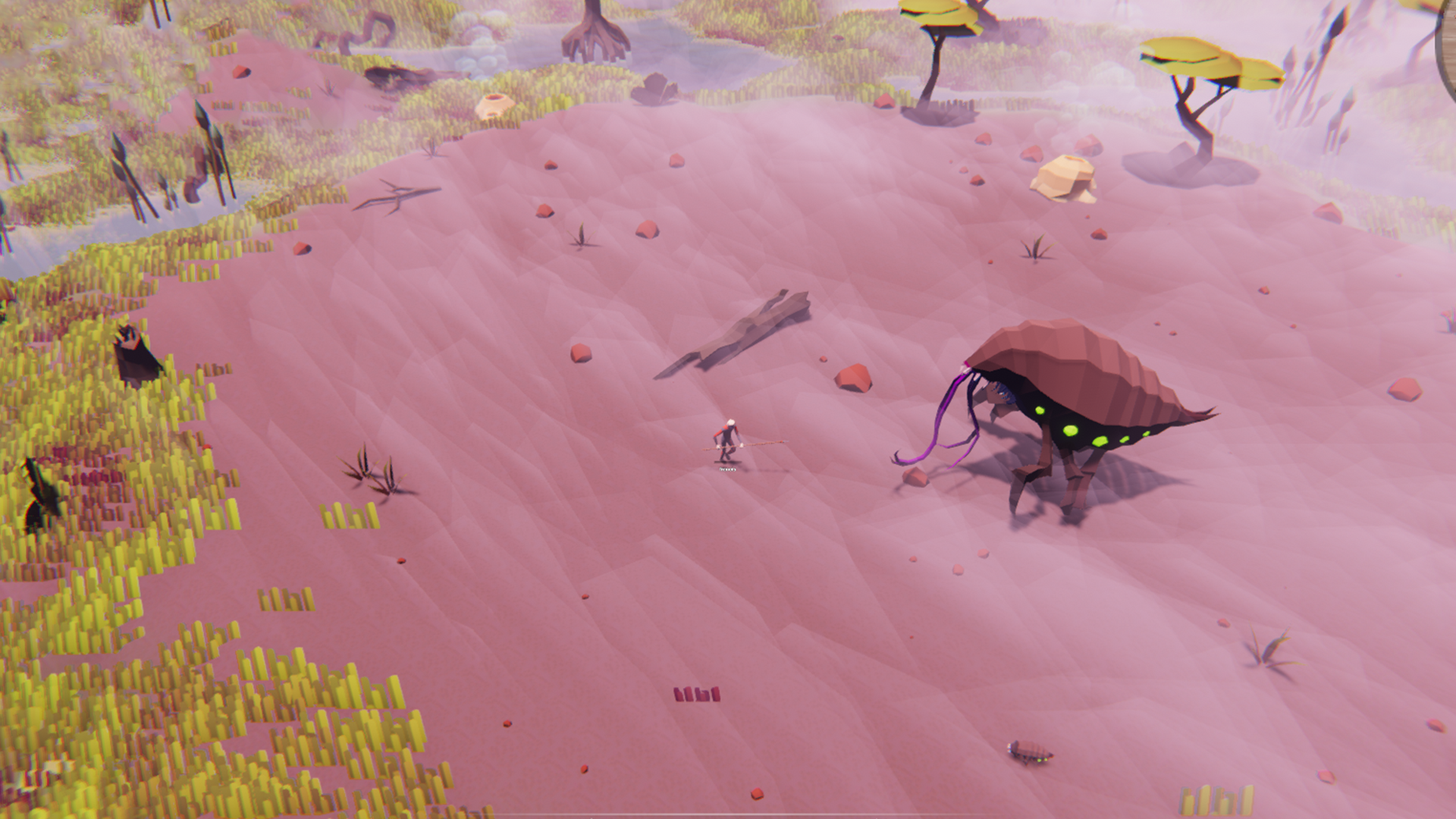 Wild Planet