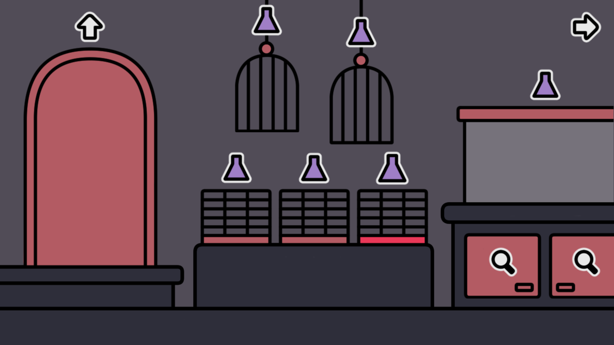 A pet shop after dark