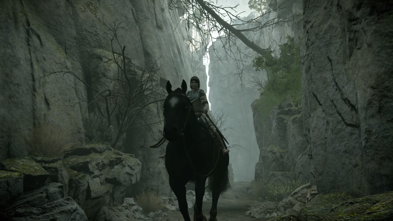 Shadow of the Colossus: Special Edition