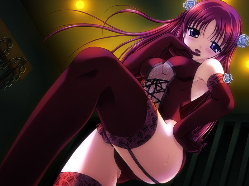 Kotori Love Ex P