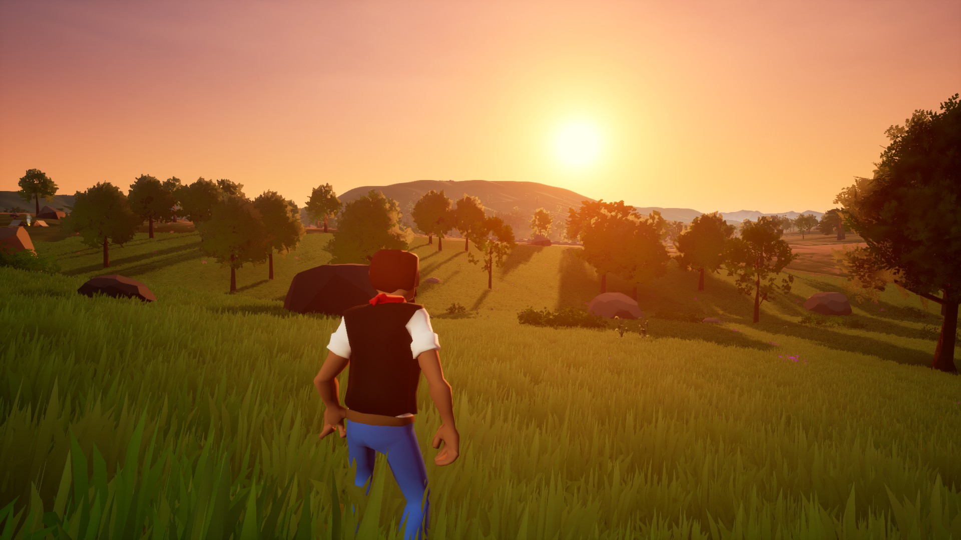 Wild West Survival