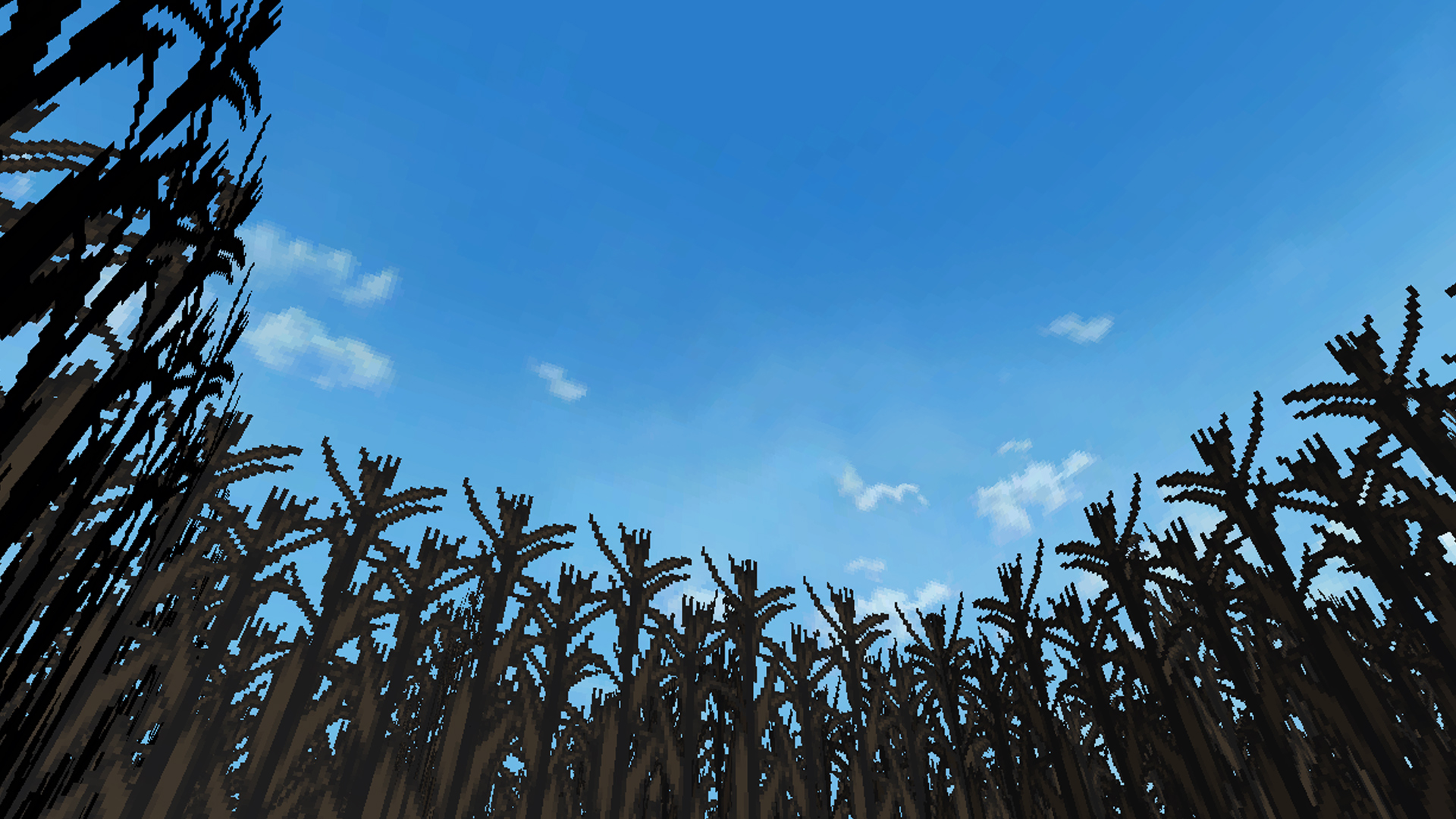 Zardy’s Maze