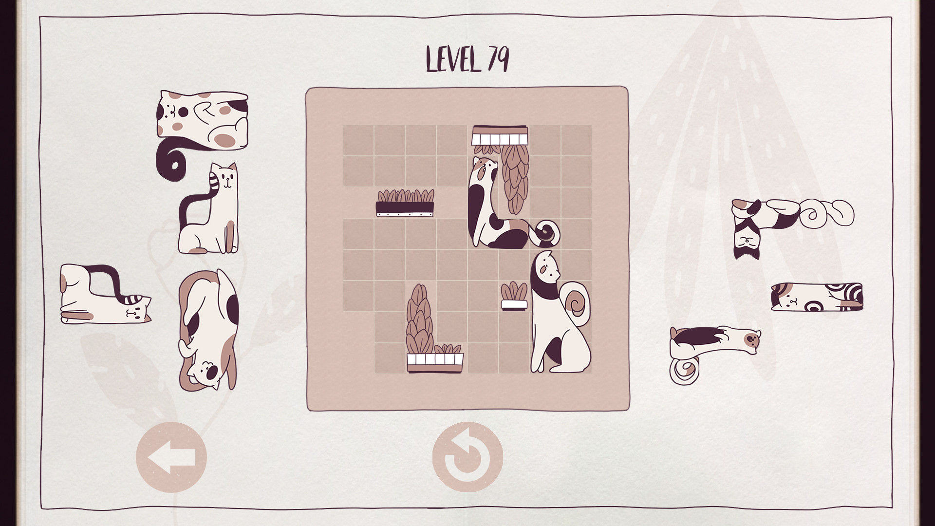 Cats Organized Neatly