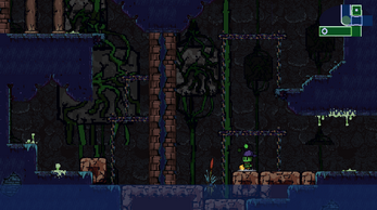 Insect Adventure