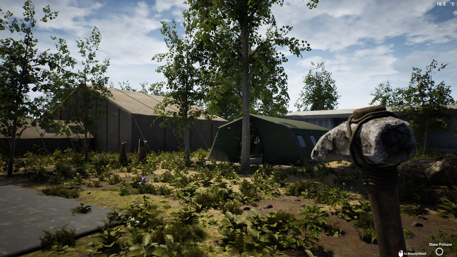 The Infected