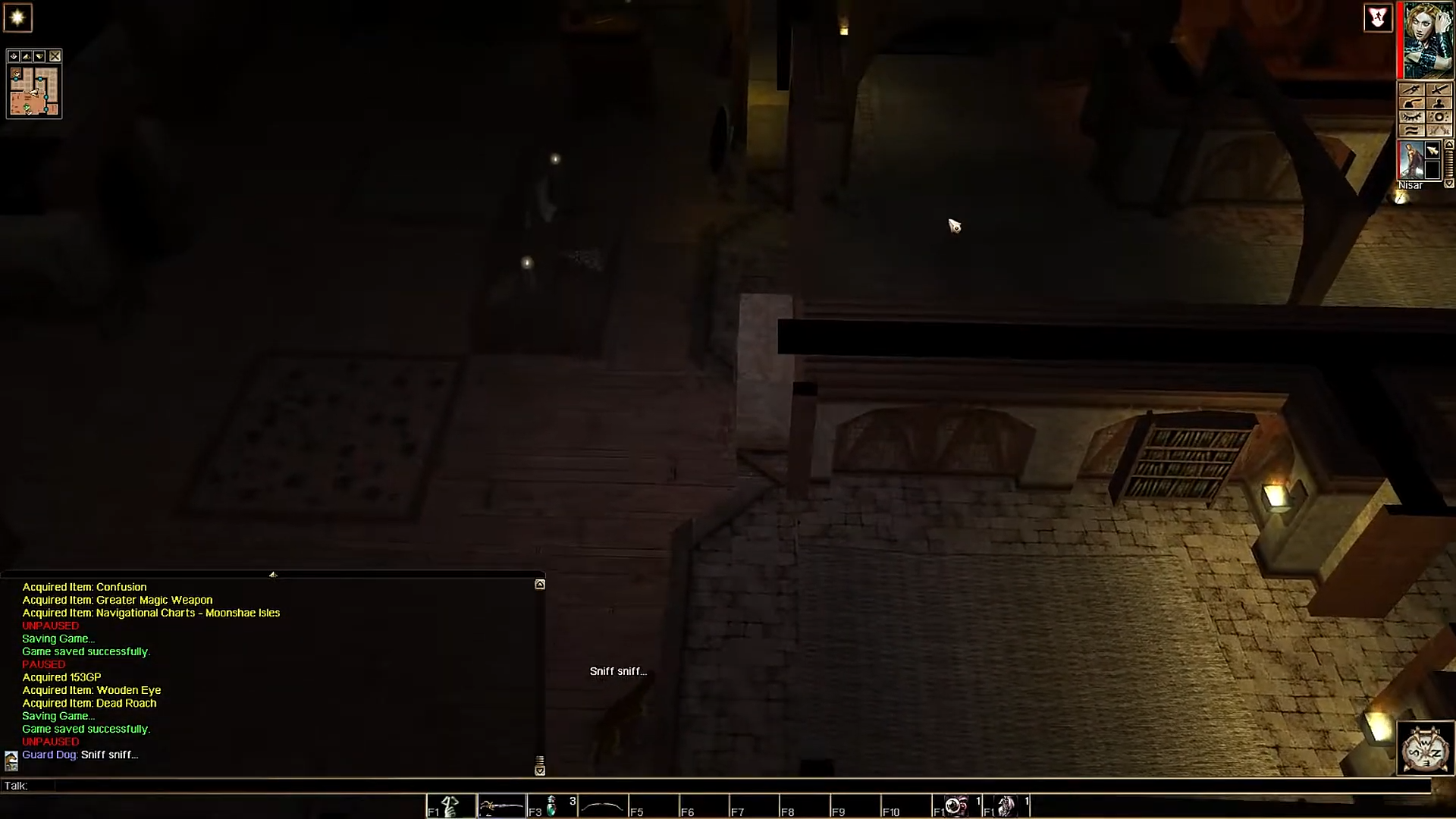 Neverwinter Nights: Pirates of the Sword Coast