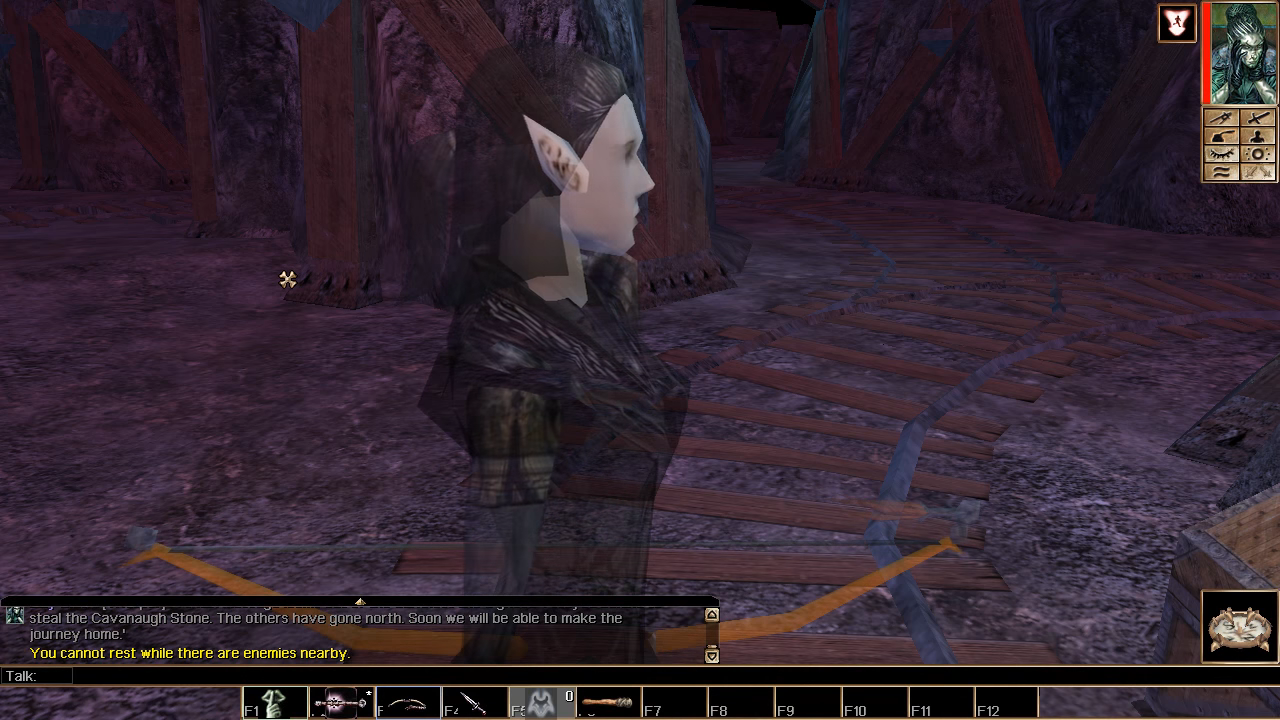 Neverwinter Nights: Witch’s Wake