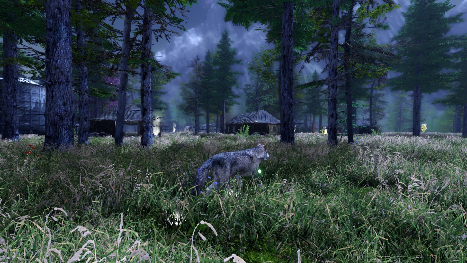 Tale of a Wolf