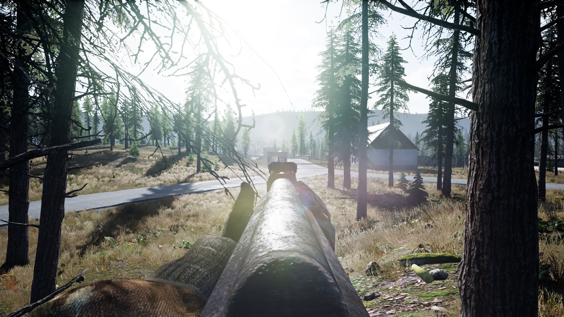 Beyond Enemy Lines: Remastered Edition