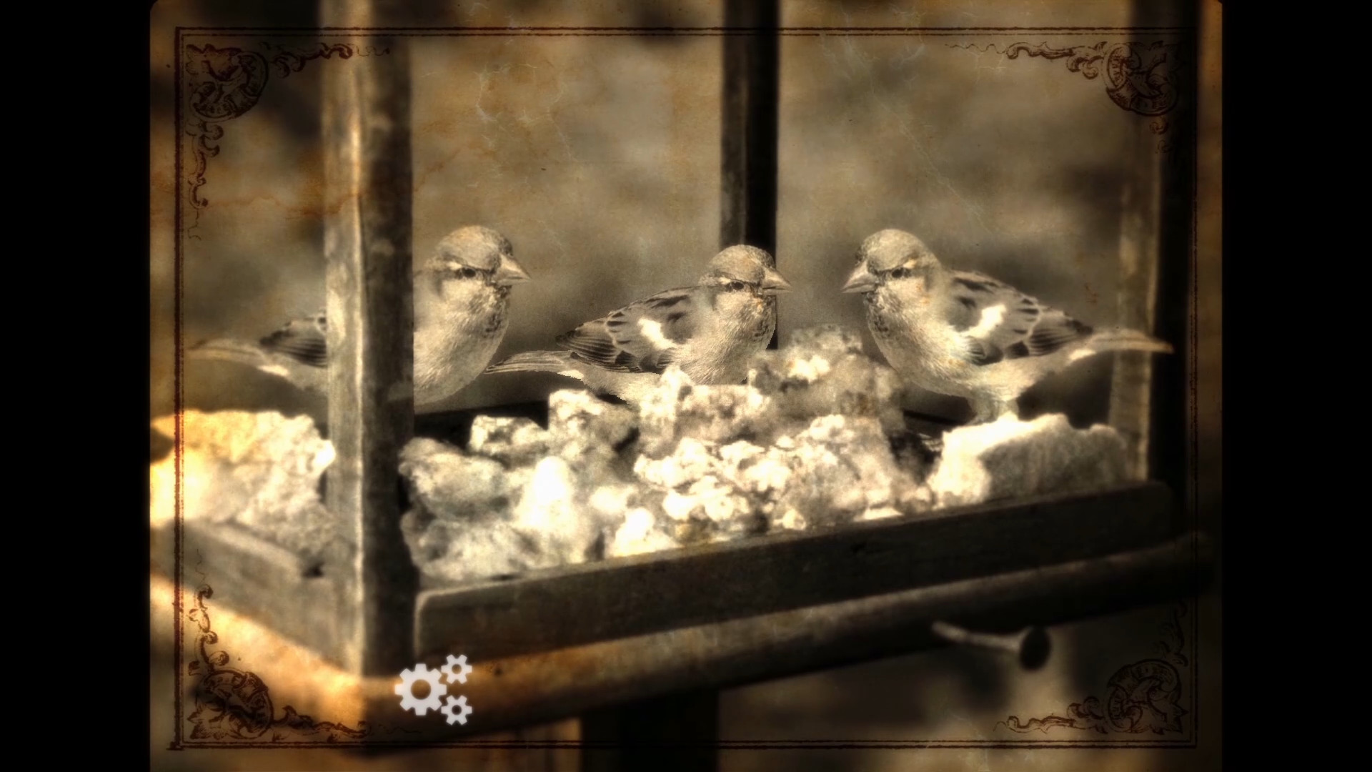 Lammana: The Looe Island Mystery