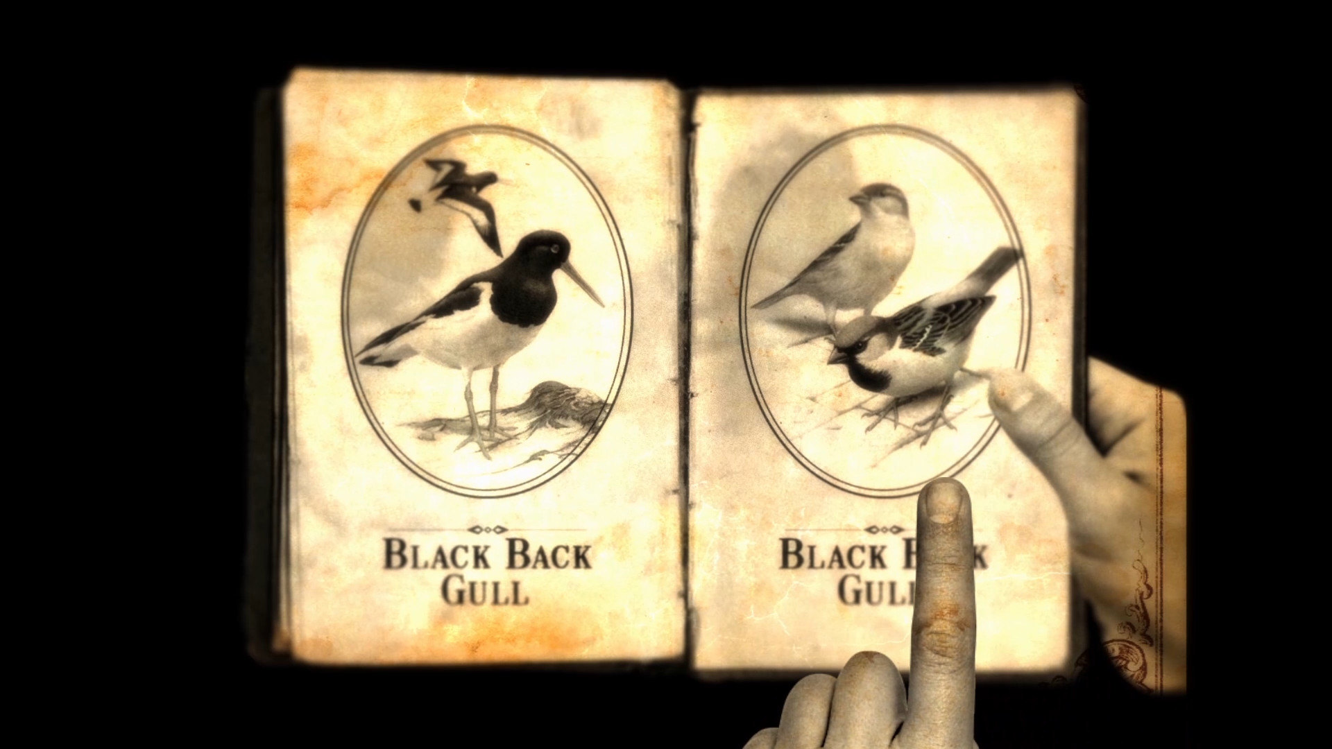 Lammana: The Looe Island Mystery