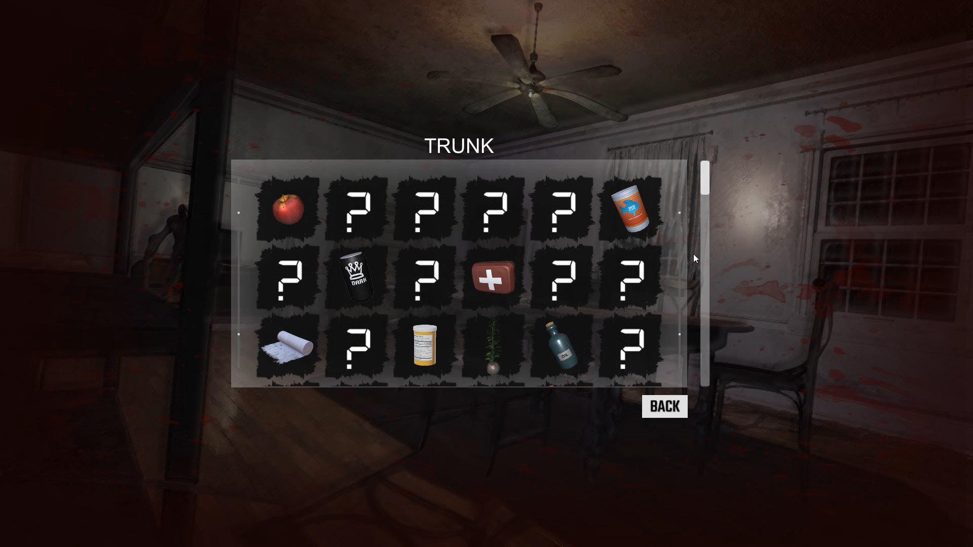 Secret House