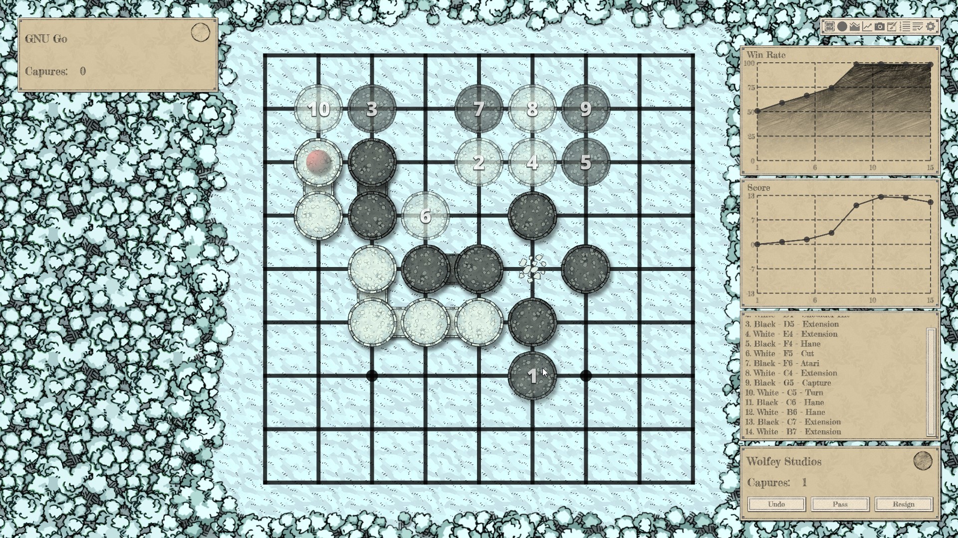The Conquest of Go