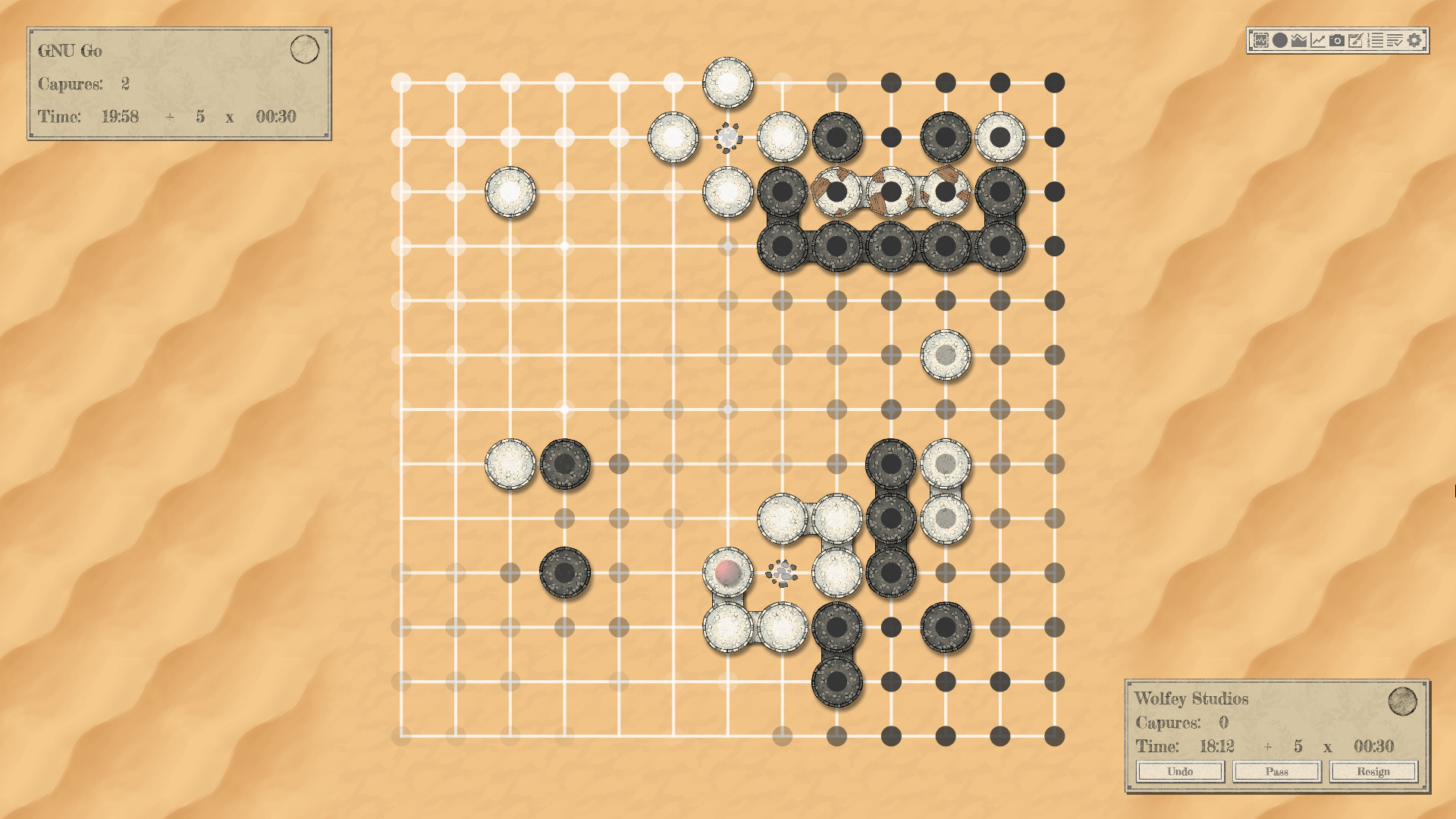 The Conquest of Go