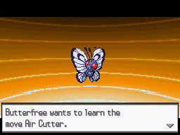 Pokémon Blaze Black