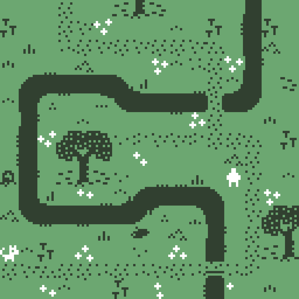 A Walk Among the Wild Garlic