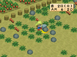 Harvest Moon for Girl