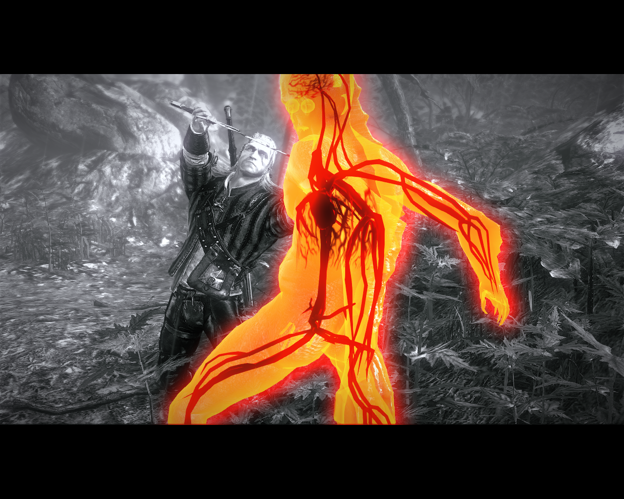 The Witcher 2: Assassins of Kings – Premium Edition