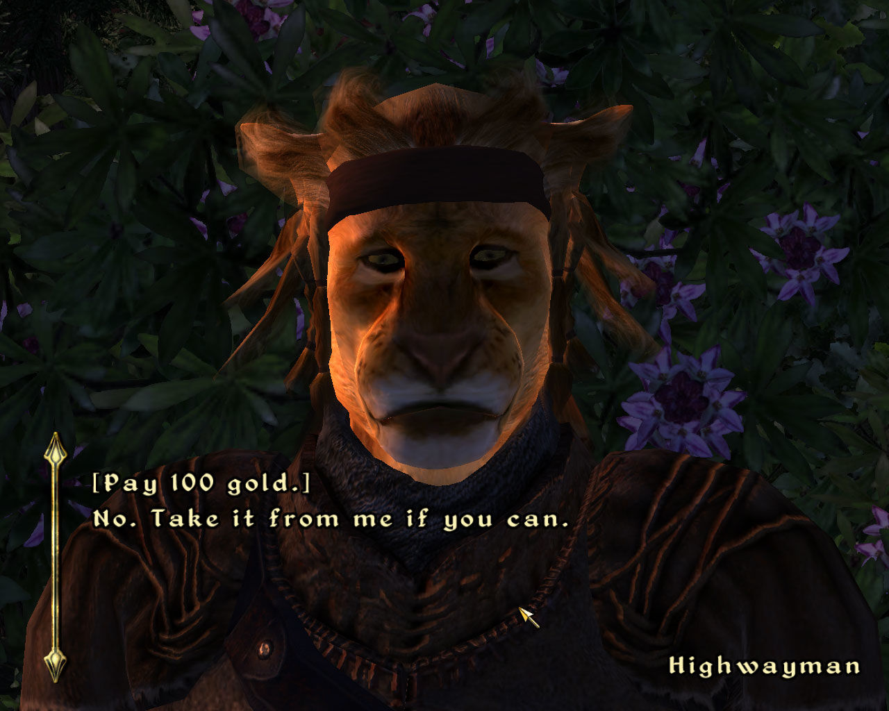 The Elder Scrolls IV: Oblivion – Spell Tomes