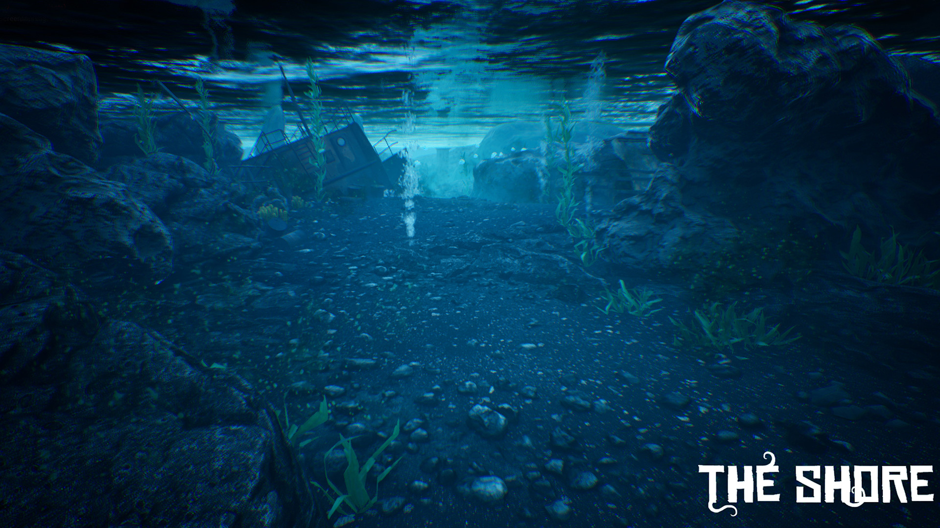 The Shore