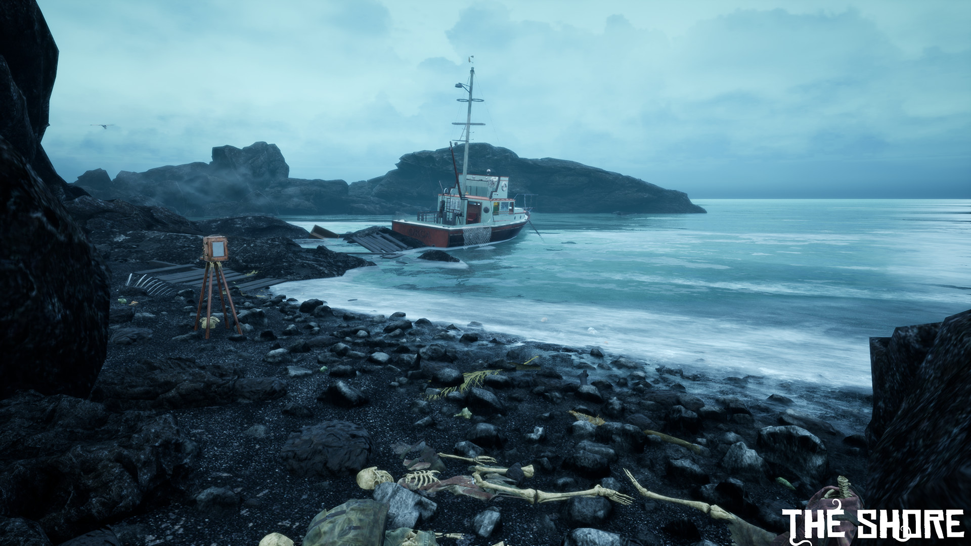 The Shore