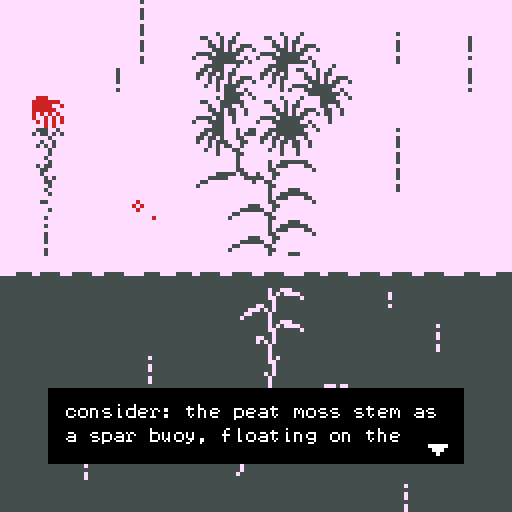 Moss as Texture as Space Folding Onto Itself