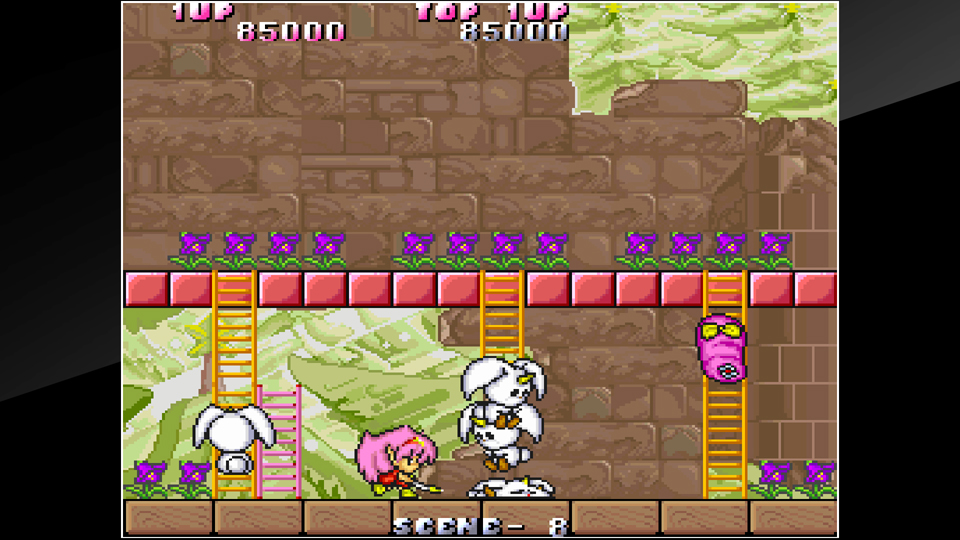 Arcade Archives: Rod Land