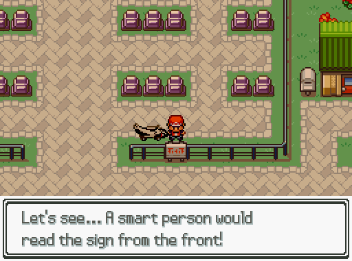 Pokémon: Blossom of the Soul