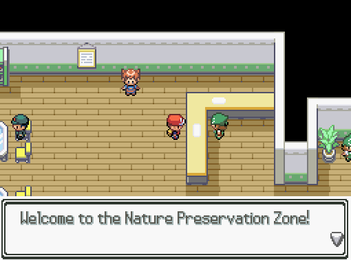 Pokémon: Blossom of the Soul