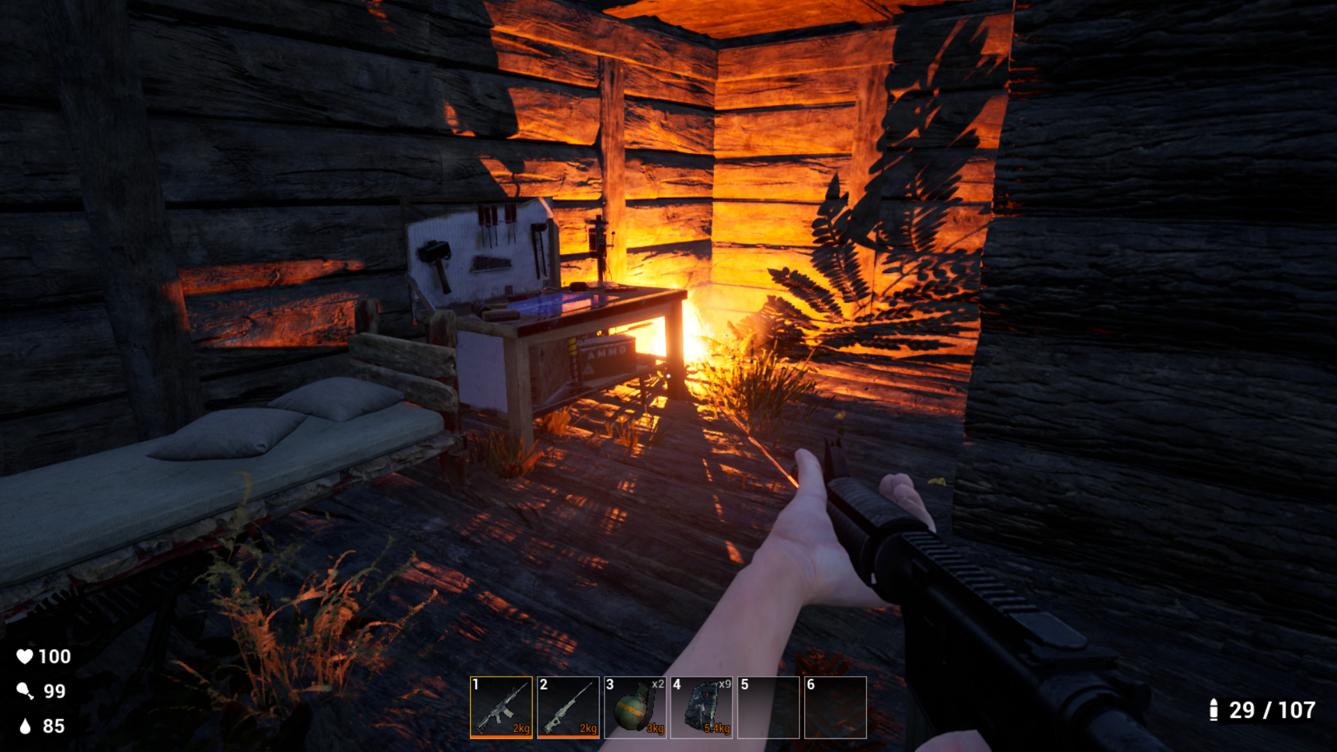 Survival: Lost Way