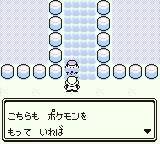 Pokémon Green Version
