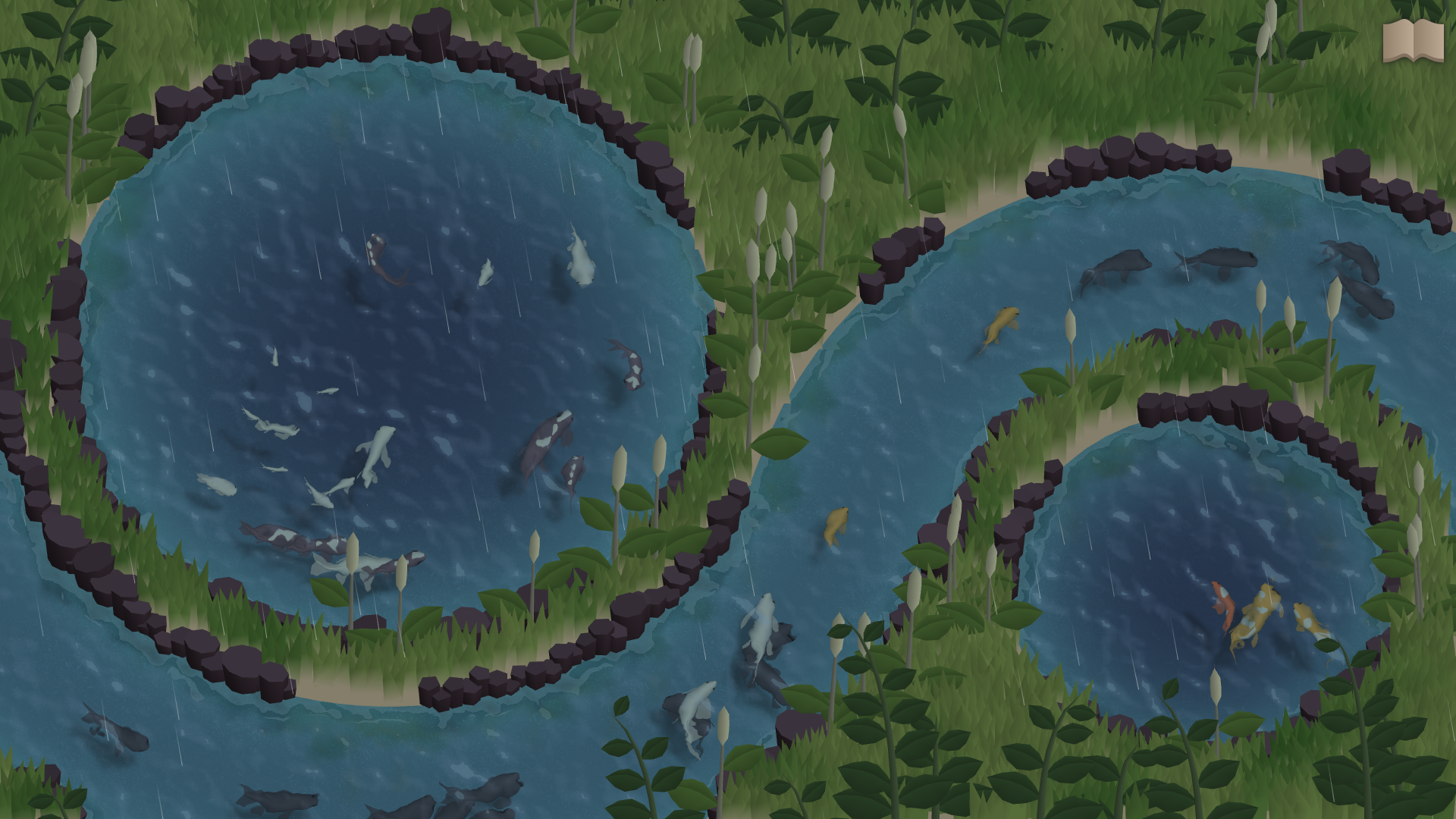 Koi Farm