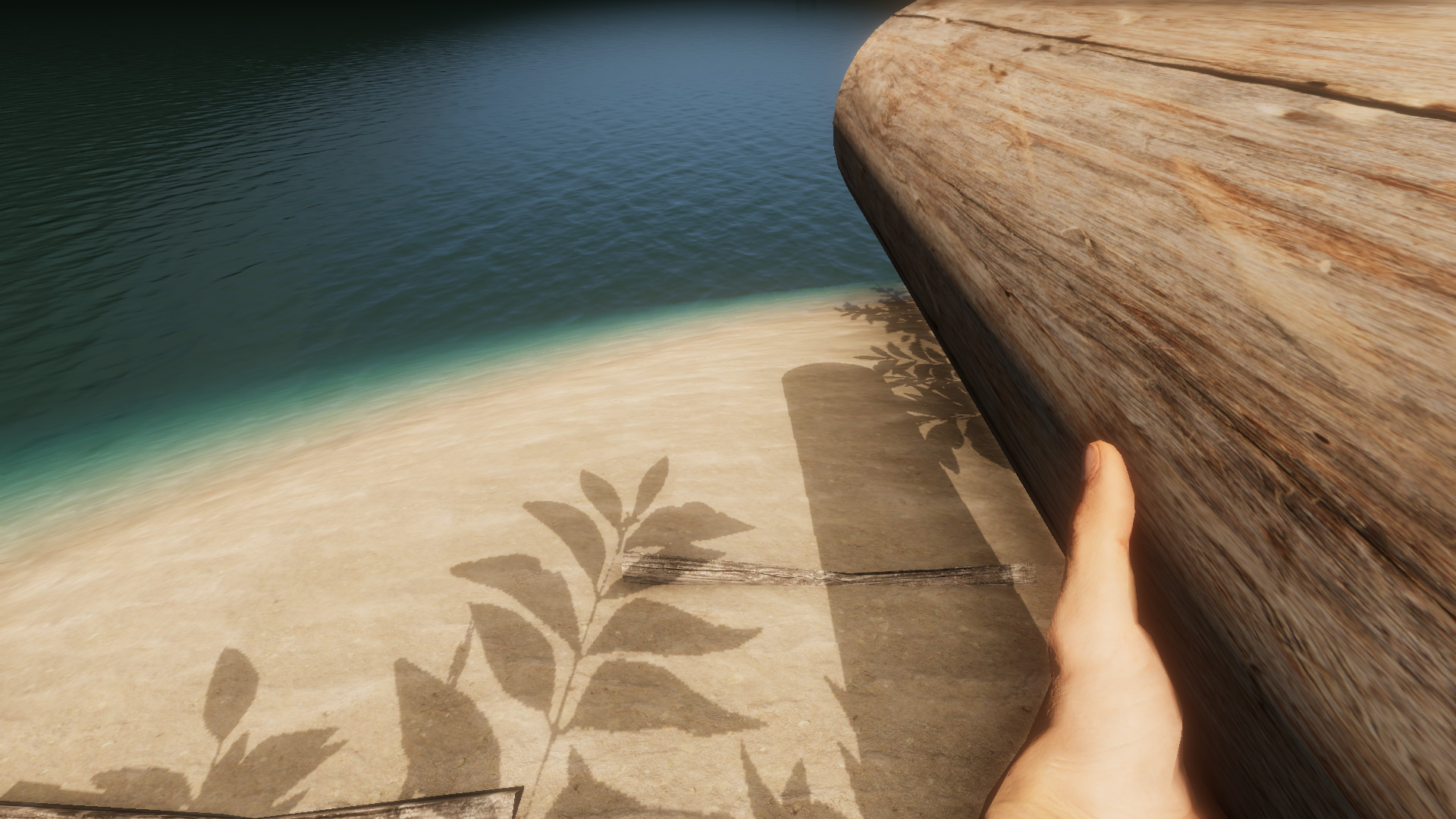 The Ocean