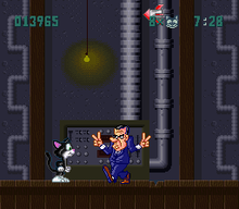 Socks the Cat Rocks the Hill