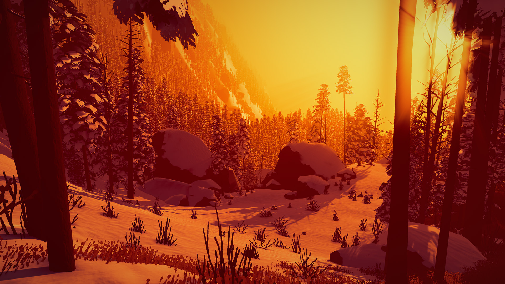 Arctic Awakening