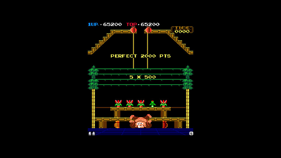 Arcade Archives: Donkey Kong 3