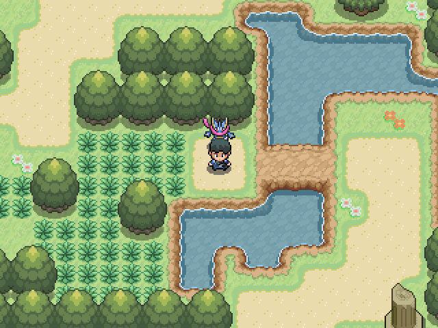 Pokémon Steam