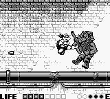 Teenage Mutant Ninja Turtles: Fall of the Foot Clan