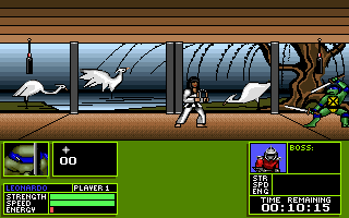 Teenage Mutant Ninja Turtles: Manhattan Missions